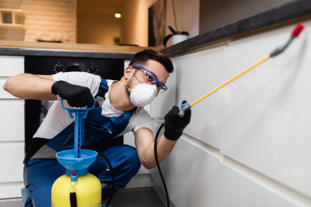 Best Insect Control  in Bridgeport, CT