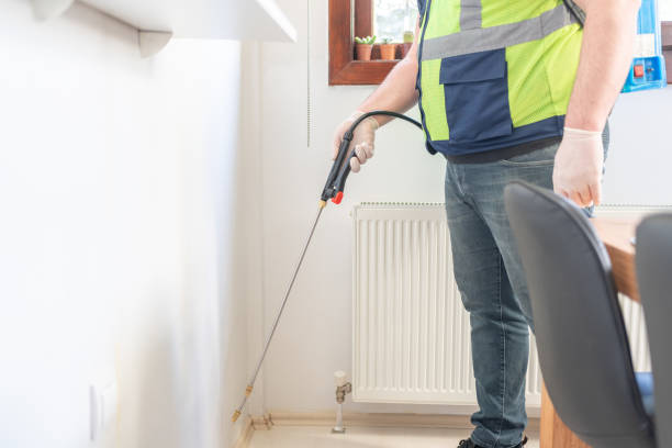 Best Affordable Pest Control Services  in Bridgeport, CT