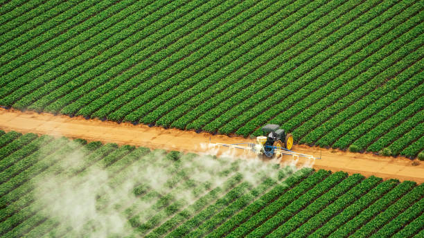 Best Commercial Pest Control Services  in Bridgeport, CT