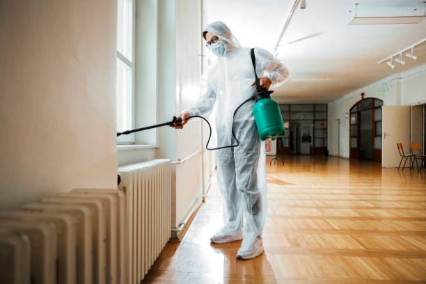 Best Mosquito Control Services  in Bridgeport, CT