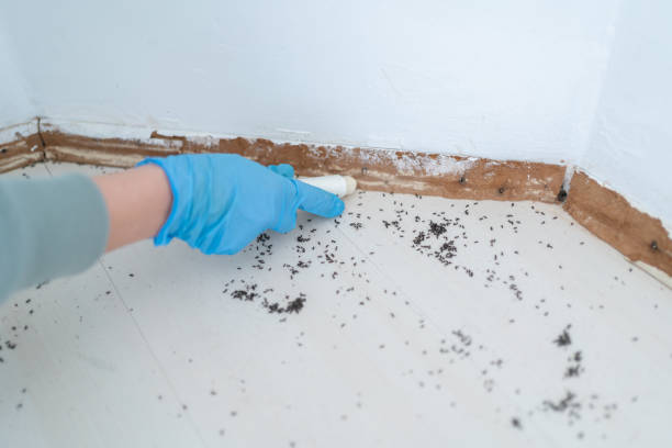  Bridgeport, CT Pest Control Pros